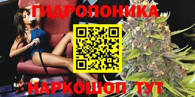 мдма Гусев