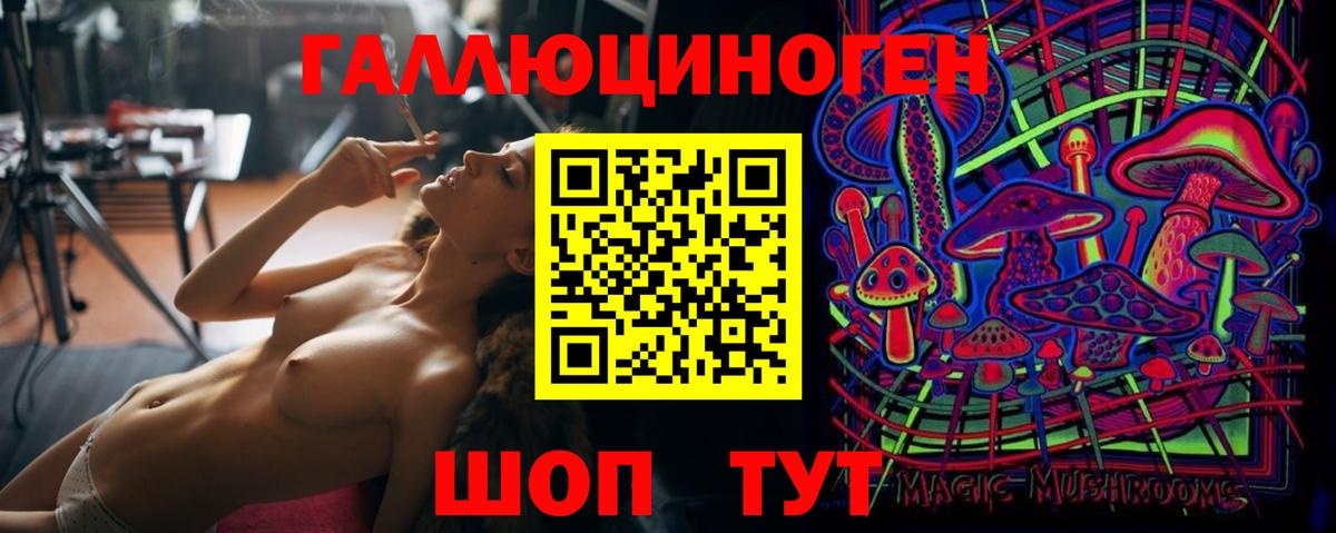 Магадан  Галлюциногенные грибы прущие грибы  Вход с VPN 