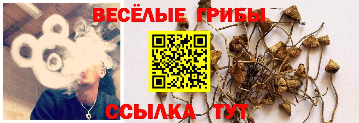Галлюциногенные грибы Magic Shrooms Магадан